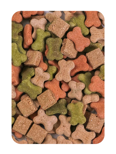 Bunter Mix 10 kg