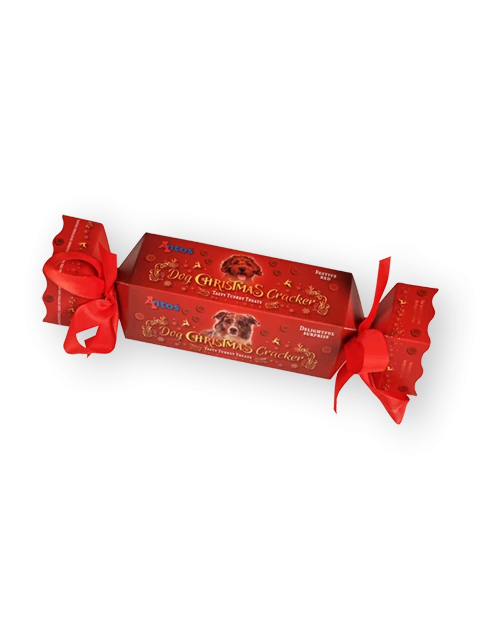 Christmas Cracker für Hunde
