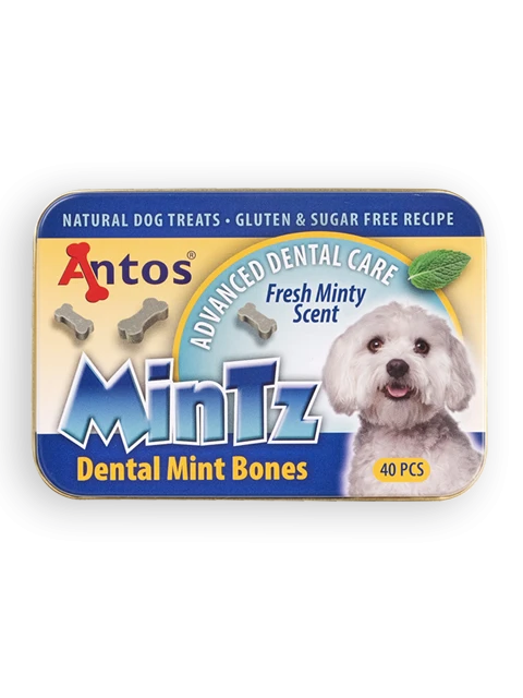 MinTz Dental Mint Bones 40 Stück