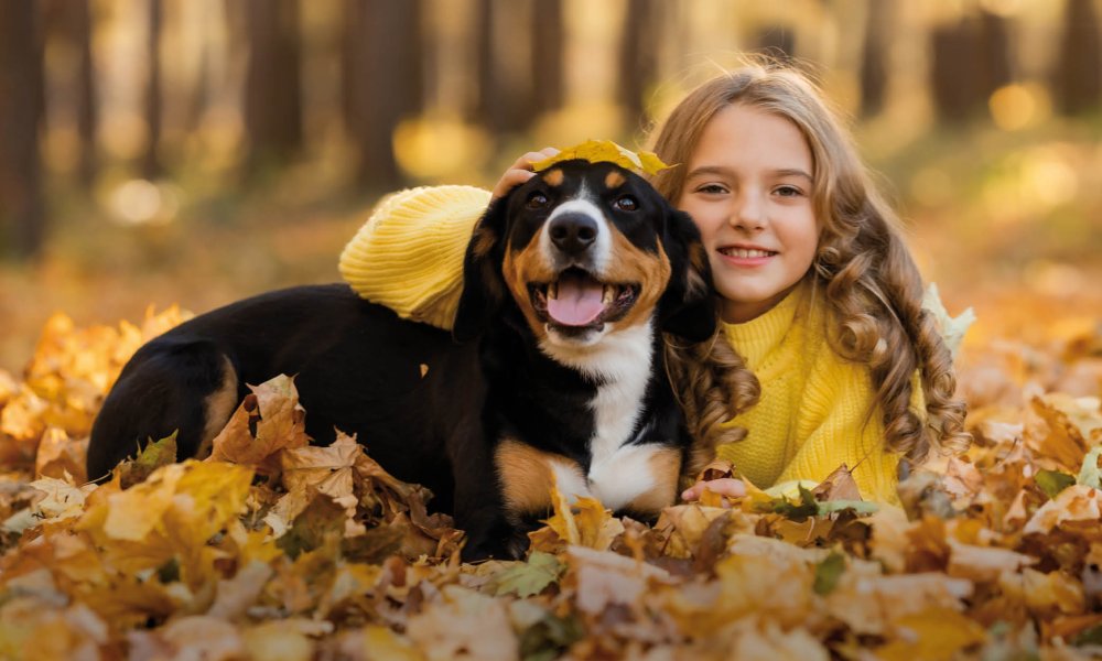 Herbstliche Snacks für dein Haustier