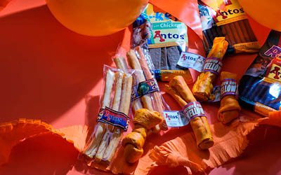 Jubeln mit Oranje-Hundesnacks