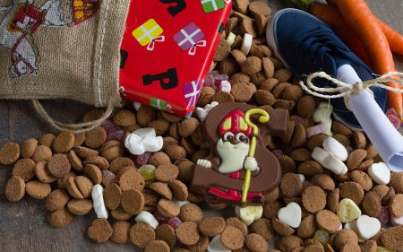 Feiere das Nikolausfest mit deinem vierbeinigen Freund