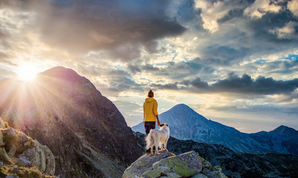 Leckerlis, die Hunde wild werden lassen