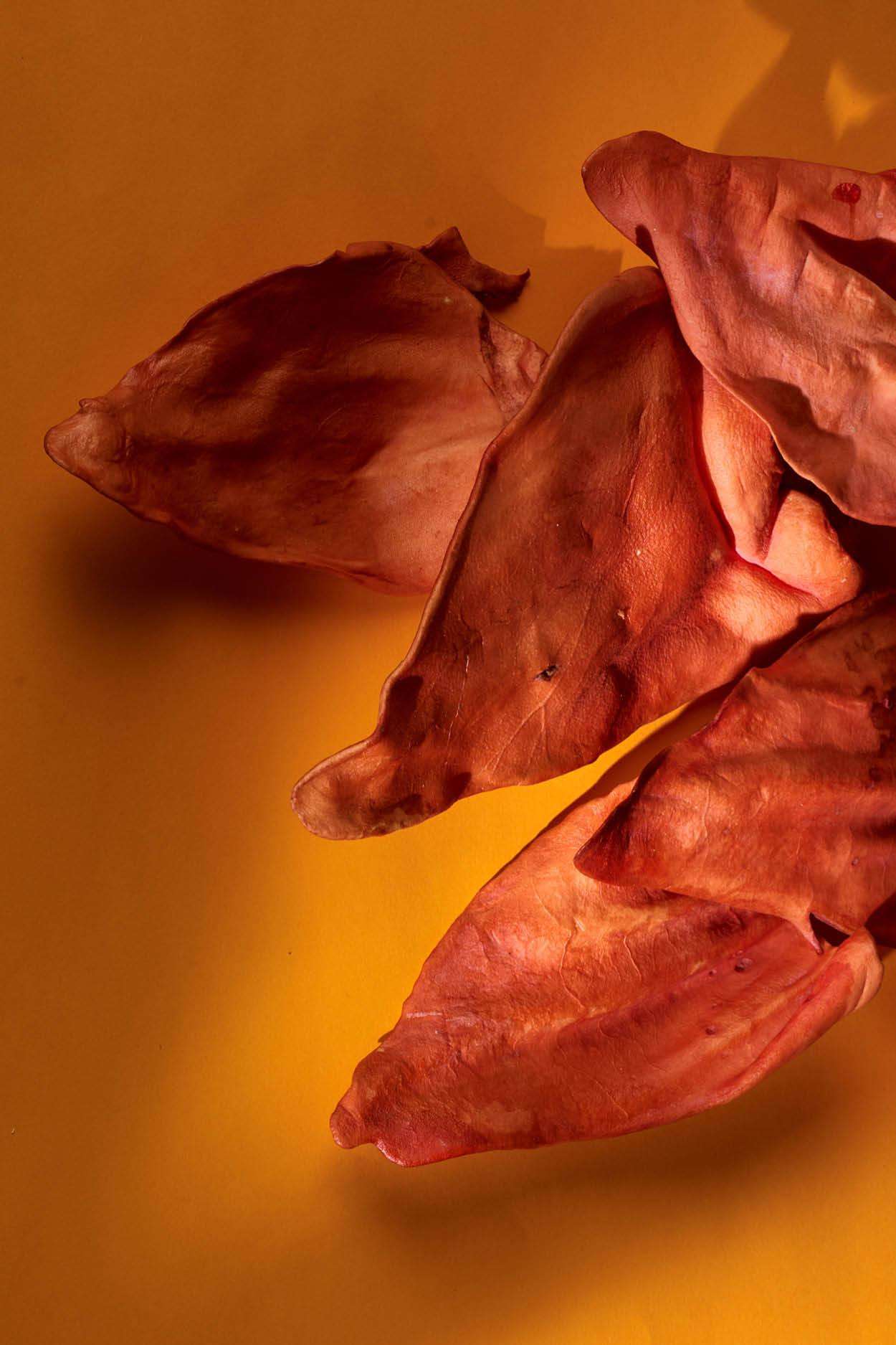 Natürliche Hundesnacks