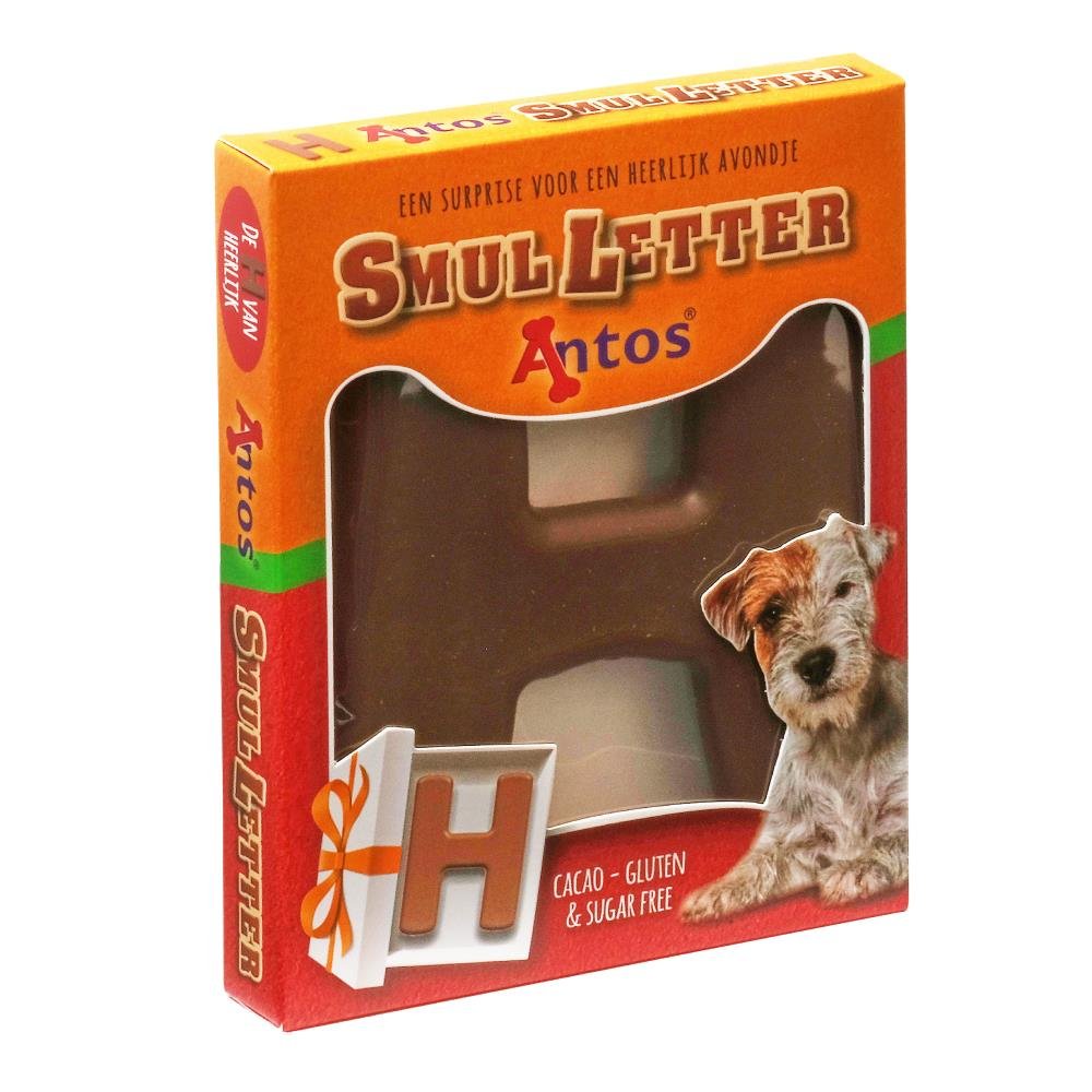 Weihnachtsbuchstabe H