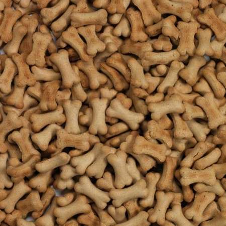 Puppy Lamm&Reis 10 kg